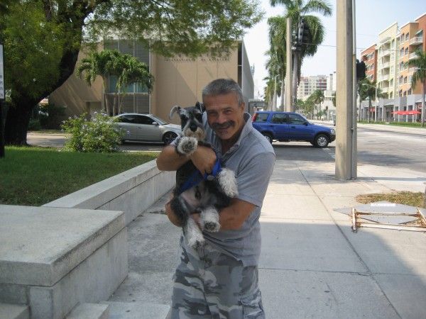 Fotolog de moustachecop - Foto - I Found This Beautiful Puppy Walking On Biscayne Blvd Close To Downtown Miami, Isn, T He Cute: I Found This Beautiful Puppy Walking On Biscayne Blvd Close To Downtown Miami,isn,t He Cute